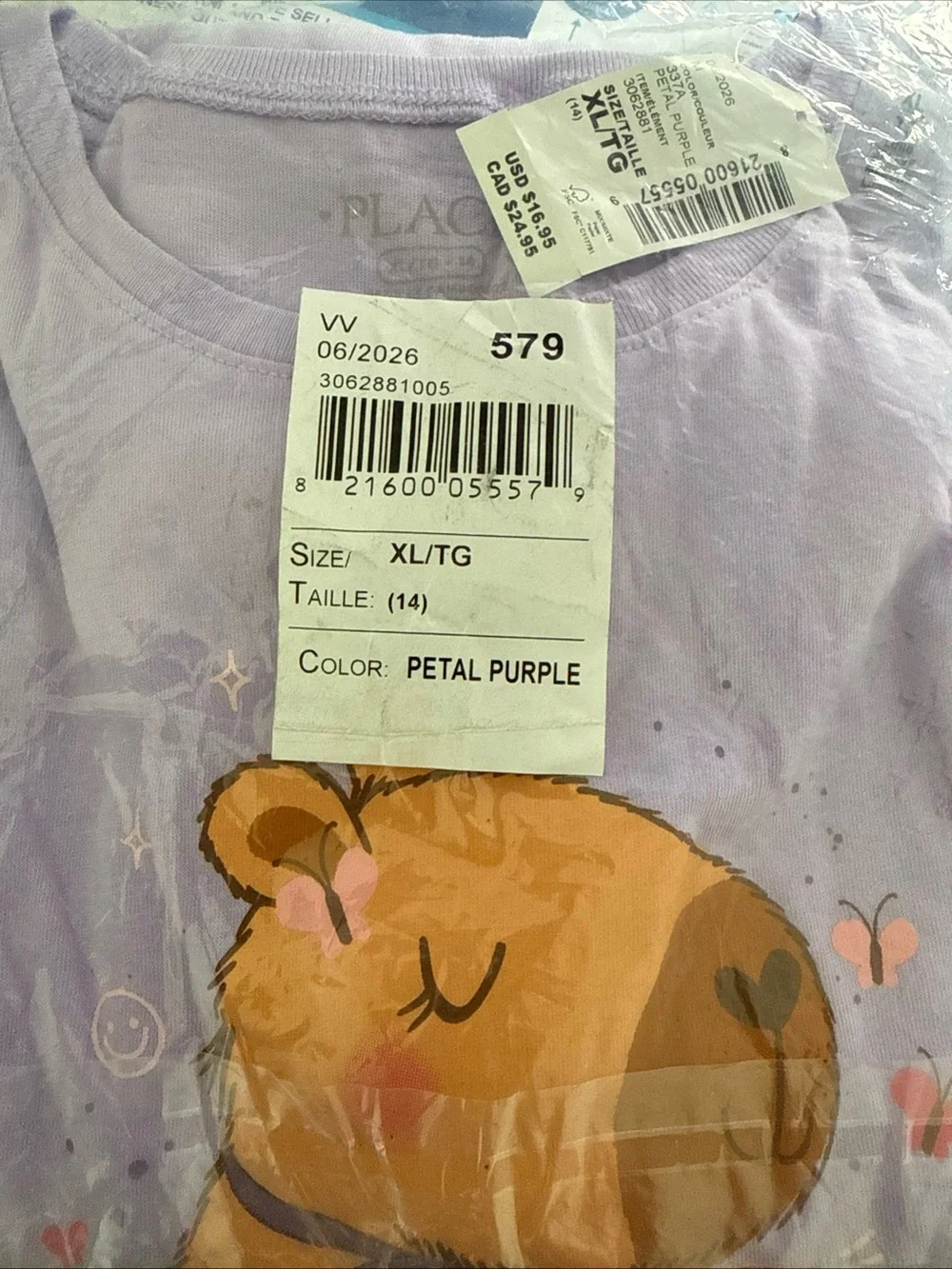 The Children's Place Girls Capybara Drink Graphic Tee Long - Purple Size Xl 14